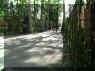 SFGAdv092504 045 copy.jpg (1946315 bytes)