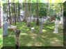 SFGAdv092504 065 copy.jpg (2358495 bytes)