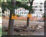 August 3 F.jpg (488857 bytes)