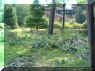 SFGA Aug 28 2004 002 copy.jpg (2015523 bytes)