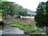 SFGA Sept 6 2004 008 copy.jpg (1805201 bytes)