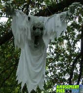 100705-050.jpg (165783 bytes)