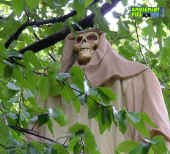 100705-095.jpg (146080 bytes)