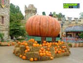 100705-108.jpg (150442 bytes)