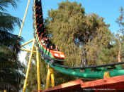 Webstuff-193.jpg (350113 bytes)